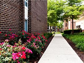 2 Bd/2 Bath Spacious Floor Plans with Eat- in Darnestown, MD (Photo 4 of 5)