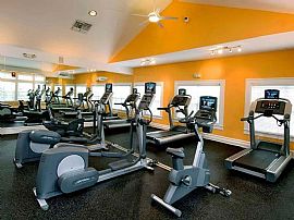 1 Bd/1 Bath 1 Bed - Close to Kendall Gre in North Waltham, MA (Photo 4 of 5)