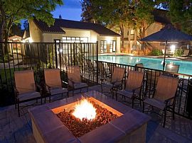 1 Bd/1 Bath 1bed/1bath in Mountain View, in Mountain View, CA