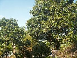 Spacious One Bedroom (650 Sq Ft) Apartment in Duplex (lower Apt in Miami, FL (Photo 5 of 10)