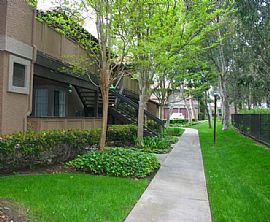 Gorgeous 1br 1bth Condo Victoria Heights Rancho  in Rancho Cucamonga, CA (Photo 8 of 11)