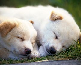 Hassle Free Living in Sacramento, CA (Photo 5 of 5)