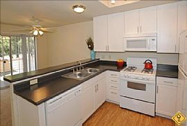 Foster City \ 743 Sq. Ft. \ 1 Bedroom - Come and S