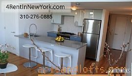 Bright New York, 1 Bedroom, 2 Bath For Rent