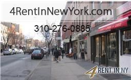 Pet Friendly 1 1 Apartment in New York