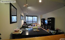 Apartment in Move in Condition in New York. Parkin