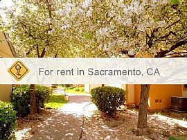 Large 2bed/2bath in Updated Apartment Complex With