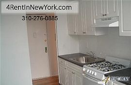 Pet Friendly 1 1 Apartment in New York