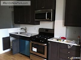 Two Bedroom Apartment For Rent in Williamsburg, Br