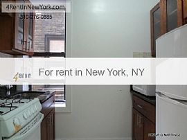 Apartment in Move in Condition in New York. Parkin