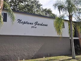 3914 W Neptune St Apt 7, Tampa, FL 33629