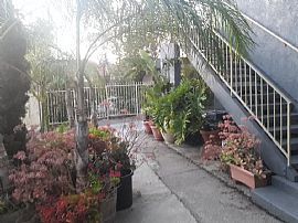 2 Bedroom Quaint Living in Beautiful Atwater Village
