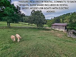 330 Mine Hollow Rd, Hot Springs, NC 28743