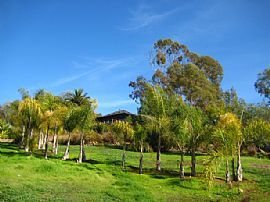 Beautiful tropical ranch estate home