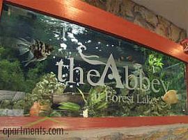 The Abbey at Forest Lakes: The Lagoon 
