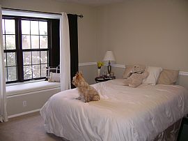 Beautiful, Brand New 1 or 2 bedroom, Three Level Condo