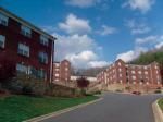 Superb 4 Bedroom Apartment for Sub-Lease at Catamount Peaks