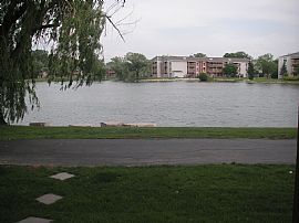 Large 1 Bedroom Apartment with Lake View 