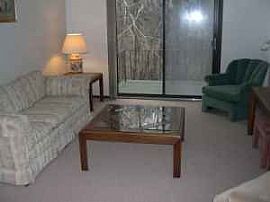 Beautiful and Well Furnished One Bedroom Apartment