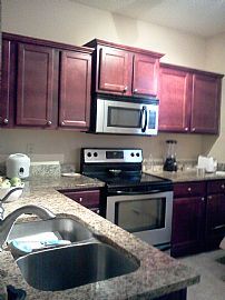 Recently Renovated and Spacious 1br/1ba $775.00