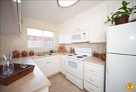 1 Bedroom - The Arches Apartments in Sunnyvale.