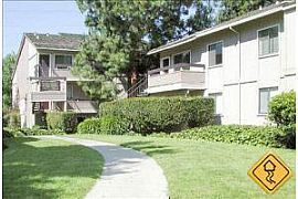 1 Bedroom - Arbor Terrace Apartments of Sunnyvale,