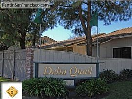 Welcome to Delta Quail.